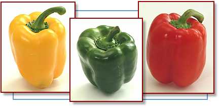 Photos of yellow, green, and red bell peppers
