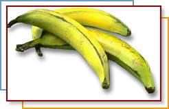 Photo of plantains