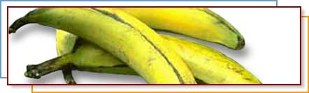 Photo of plantains