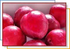 photo of plums