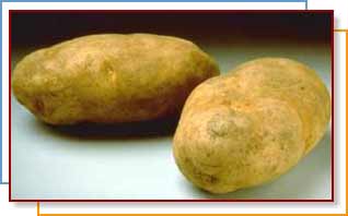 Photo of Potatoes