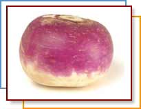 Photo of a turnip