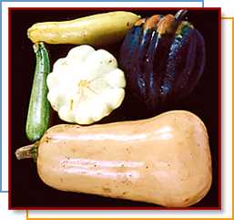 Photo of assorted varieties of squash