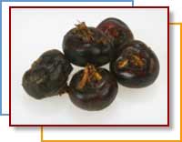 Photo of water chestnut