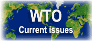 wto: current issues