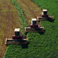 Recent Agricultural Policy Reforms in North America