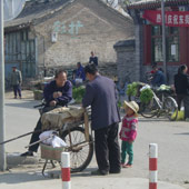 China: Rural Food Consumption and Data
