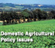 Domestic Agricultural Policy Issues