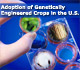 Adoption of Genetically Engineered Crops in the U.S.