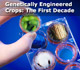 Genetically Engineered Crops: The First Decade