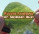 Recent Analyses on Soybean Rust