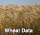 Wheat Data