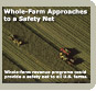 Whole-Farm Approaches to a Safety Net