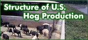 changing economics and structure of U.S. hog production