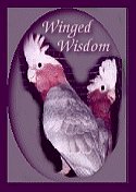  Winged Wisdom Magazine Ezine bird logo pet birds magazines ezines bird magazine ezine pet parrots exotic birds
