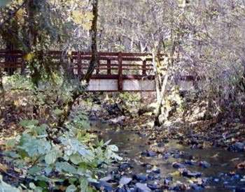 {Photo}Wood bridge nestled in a shaded forested area with a stream flowing below it.