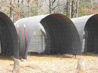 Cattle panels with tarp provide shelter for goats.
