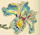 Curtis's Botanical Magazine Volume 11: Plate 373, Iris chinensis