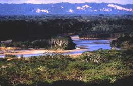 Bolivia's Madidi National Park is a global treasure