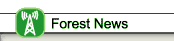 Forest News