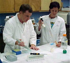 Analytic Response Team (ART) Technicians performing bioassays at CCEHBR