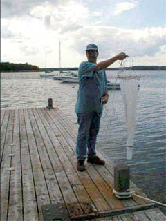 Collecting plankton samples for potentially harmful microalgae