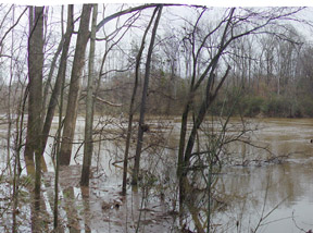 Roanoke River at Altavista Picture