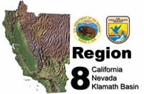 Region 8 Logo