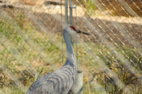 Earth Science Week photo at Patuxent Wildlife Research Center