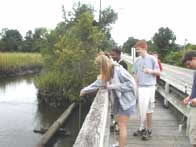 Kate Schaefer instructing students in collecting algae from a coastal creek