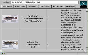 RFE Page 2 Nomenclature and General Information image