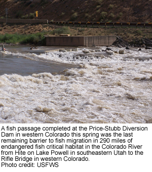 Fish passage at the Price-Stubb Diverson Dam