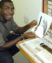 An intern conducting research