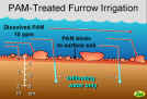 13. PAM binding to the soil surface