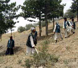 People tilling soil on a hillside