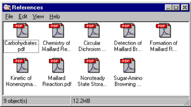 Screen shot of References folder