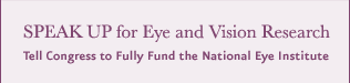 Speak Up for Eye and Vision Research