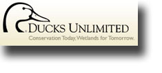 Ducks unlimited logo