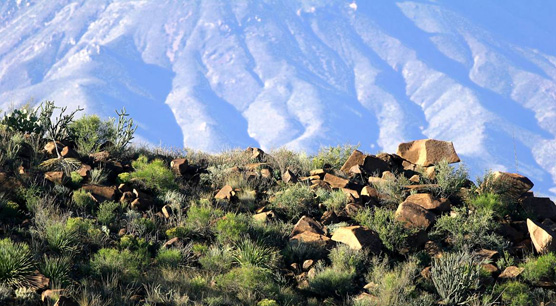 View from Roy's Peak vista