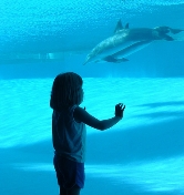Child at Aquarium