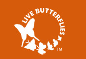 butterfly_livebutterflies von Smithsonian National Museum of Natural History