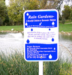 Rain gardens are depressional areas landscaped with perennial flowers and native vegetation that soak up rainwater