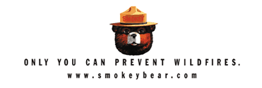 Link to SmokeyBear.com