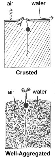 Effects of aggregation on water and air entry into the soil.