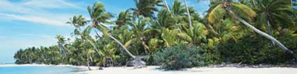 Tropical Beach landscape.