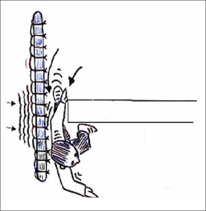 Figure 2-4. Employee clears floor edge and when the net tightens near the bottom rail it would have the tendency to push the employee out of the new. - For problems with accessibility in using figures and illustrations in this document, please contact the Directorate of Science, Technology and Medicine at (202) 693-2300.