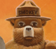 Smokey Bear