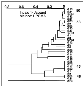 sola5t.gif (6862 bytes)