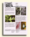 Clickabe image to all Pest Alert Publications