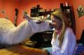 A three-year old llama 'Socke' kisses its owner Nicole Doepper in her living room in the western town of Muelheim January 14, 2009. 'Socke' lives in the house of Doepper since its birth, when it was injured by other animals and had a leg amputated. The district veterinary office of Muelheim announced on Thursday to search an adequate animal husbandry for the llama. REUTERS/Ina Fassbender   